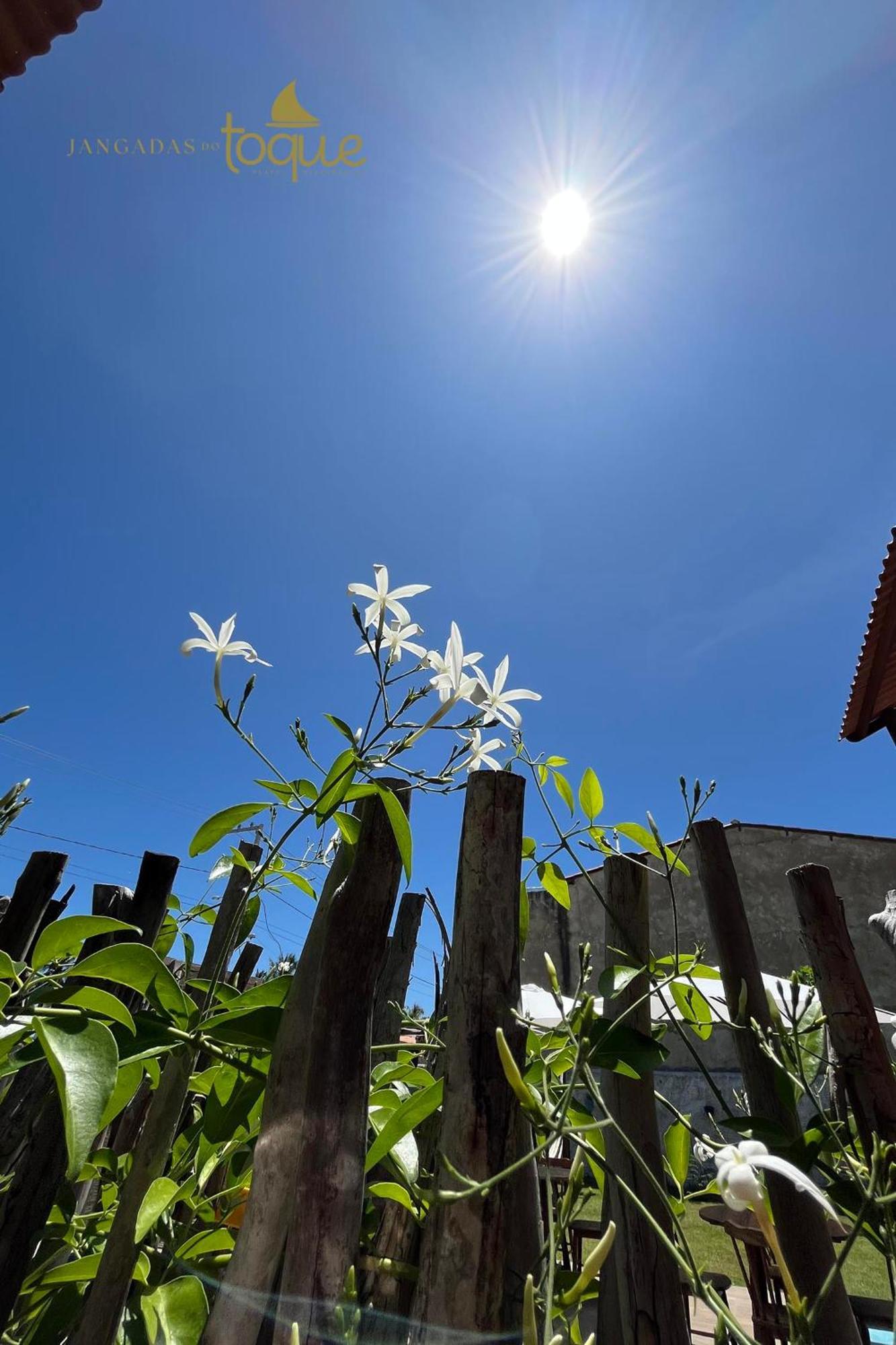 Jangadas Do Toque Milagres Flat 1 Terreo São Miguel dos Milagres Zewnętrze zdjęcie